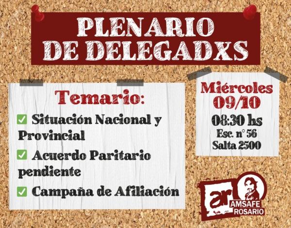 Plenario de Delegadxs