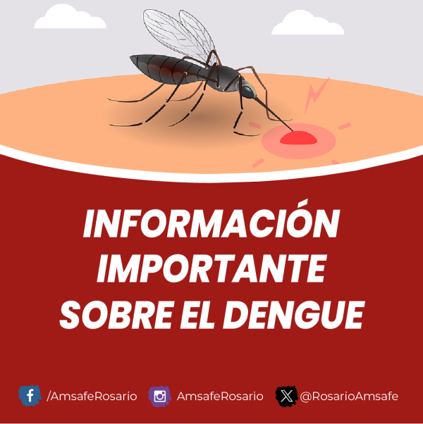 Información importante sobre el Dengue 