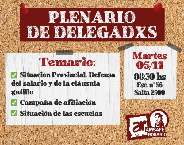 Plenario de delegadxs