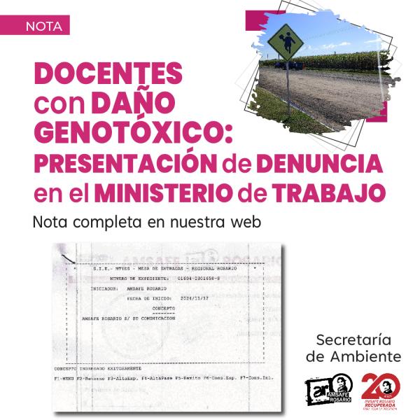 Docentes con daño genotóxico: Presentación de Denuncia en el Ministerio de Trabajo