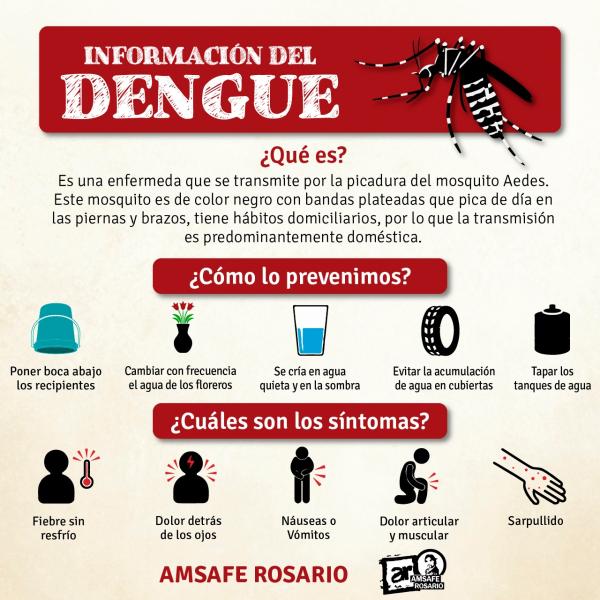 Información Importante para prevenir el Dengue
