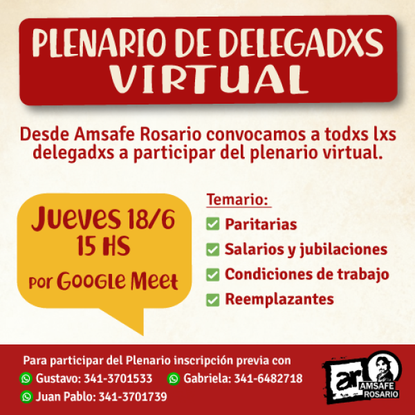 Plenario virtual de delegadxs