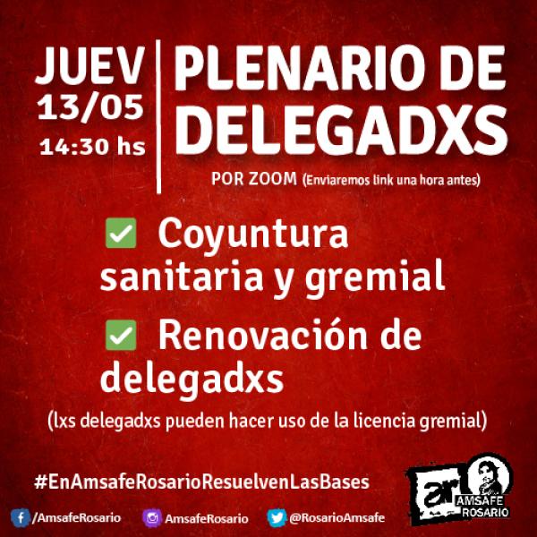 Plenario de delegadxs