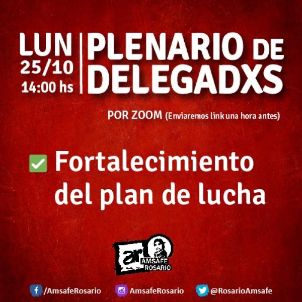 Plenario de delegadxs