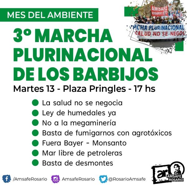 Mes del ambiente: 3° marcha plurinacional de los barbijos