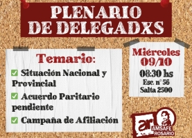 Plenario de Delegadxs