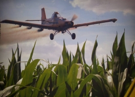  “Monsanto con sus semillas del diablo no podrá germinar en Malvinas Argentinas”