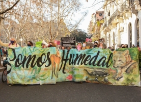 2 de febrero: "Día Mundial de los Humedales".