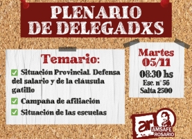 Plenario de delegadxs