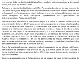 Rechazo el proyecto de ley que propone la conformación de consejerías que buscan obstaculizar el acceso al aborto como un derecho en la provincia de Salta