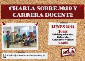 Charla sobre 3029 y Carrera Docente