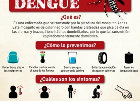 Información Importante para prevenir el Dengue