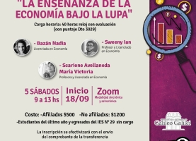 Curso: La enseñanza de la economía bajo la lupa