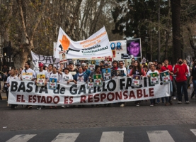 Marcha contra el "gatillo fácil"