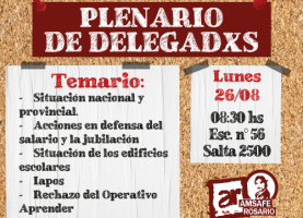 Plenario de delegadxs