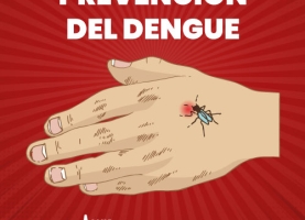 Prevención del Dengue