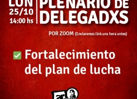 Plenario de delegadxs