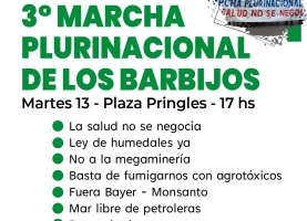 Mes del ambiente: 3° marcha plurinacional de los barbijos