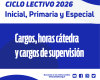 Suplencias IPE: Cargos, horas cátedra y cargos de supervisión